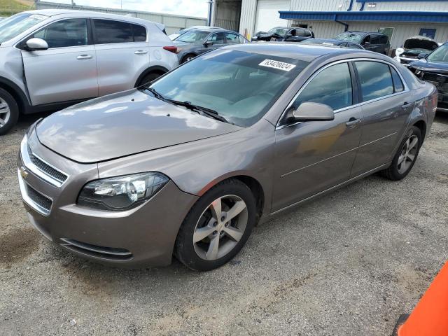 1G1ZC5E16BF293733 - 2011 CHEVROLET MALIBU 1LT თაფლისფერი ფოტო 1