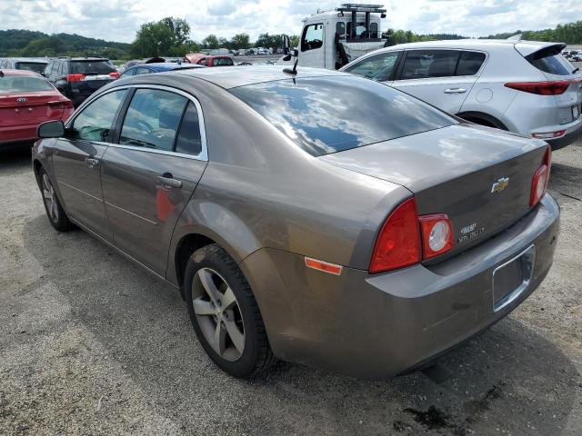 1G1ZC5E16BF293733 - 2011 CHEVROLET MALIBU 1LT თაფლისფერი ფოტო 2