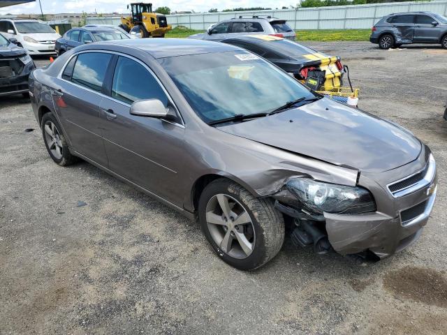 1G1ZC5E16BF293733 - 2011 CHEVROLET MALIBU 1LT თაფლისფერი ფოტო 4