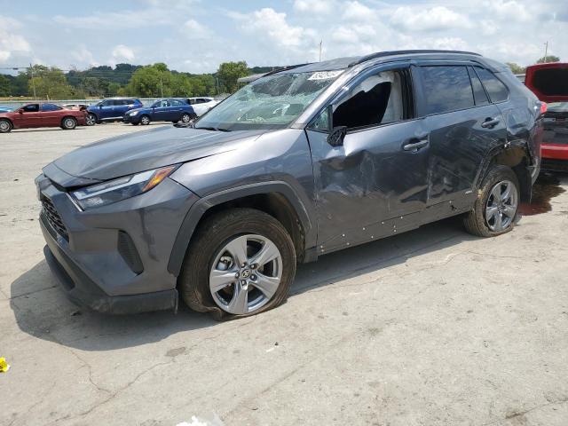 4T3LWRFV8PU089681 - 2023 TOYOTA RAV4 LE GRAY photo 1