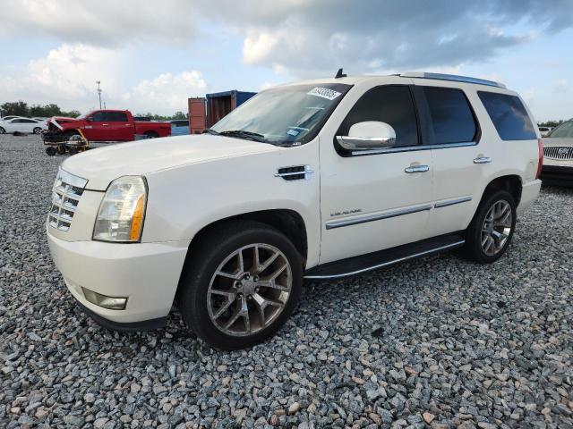 1GYFK63848R238637 - 2008 CADI ESCALADE LUXURY თეთრი ფოტო 1