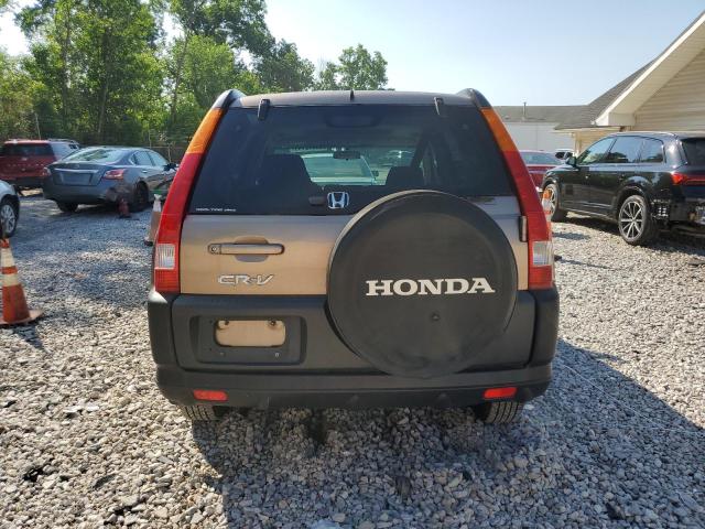 JHLRD78823C043985 - 2003 HONDA CR-V EX BROWN photo 6
