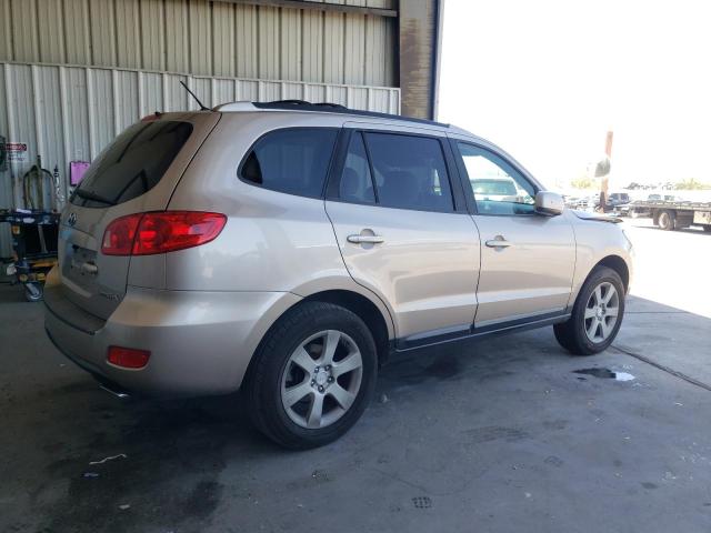 5NMSH13E67H026224 - 2007 HYUNDAI SANTA FE SE GOLD photo 3