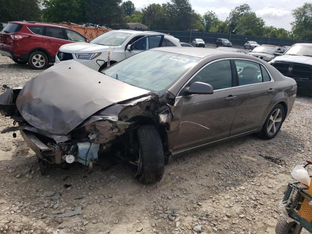 1G1ZC5E16BF151933 - 2011 CHEVROLET MALIBU 1LT 棕色 照片 1