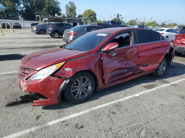 2014 HYUNDAI SONATA GLS, null