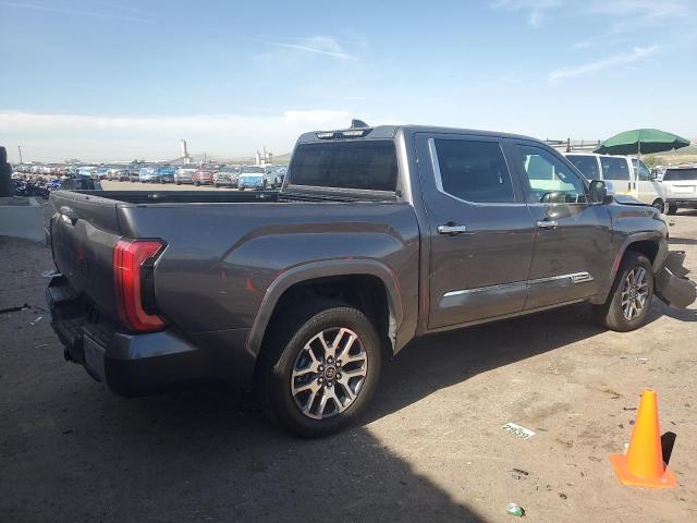 5TFMA5DB1RX186529 - 2024 TOYOTA TUNDRA CREWMAX PLATINUM ნაცრისფერი ფოტო 3