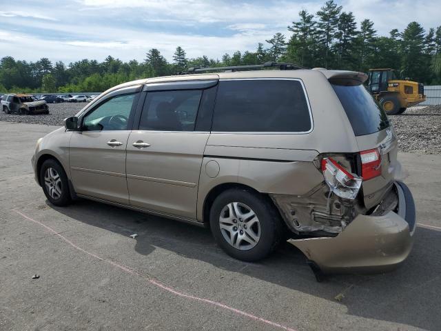 5FNRL38735B129618 - 2005 HONDA ODYSSEY EXL TAN photo 2