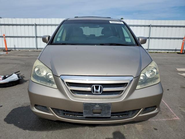 5FNRL38735B129618 - 2005 HONDA ODYSSEY EXL TAN photo 5