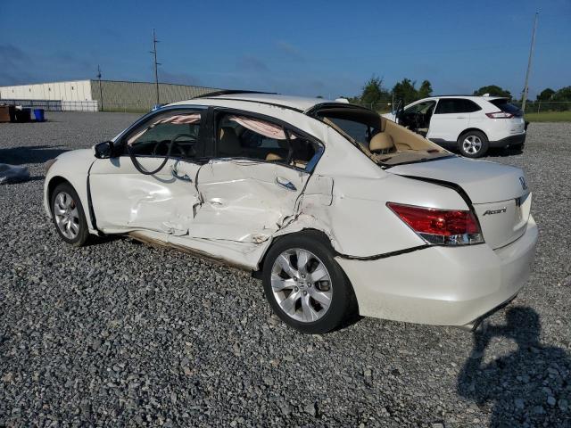 5KBCP3F89AB013678 - 2010 HONDA ACCORD EXL WHITE photo 2