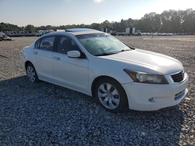 5KBCP3F89AB013678 - 2010 HONDA ACCORD EXL WHITE photo 4