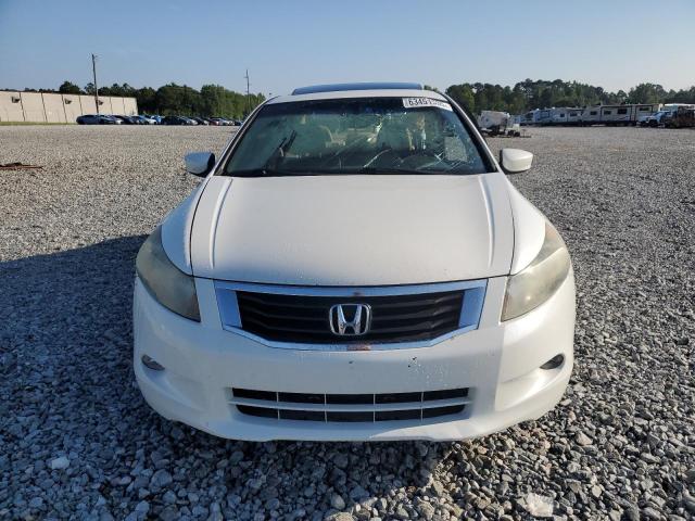 5KBCP3F89AB013678 - 2010 HONDA ACCORD EXL WHITE photo 5