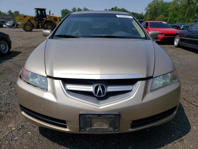 19UUA66296A019242 - 2006 ACURA 3.2TL Złoty zdjęcie 5