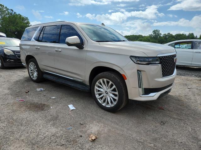 1GYS4AKL5MR107213 - 2021 CADILLAC ESCALADE LUXURY თაფლისფერი ფოტო 4