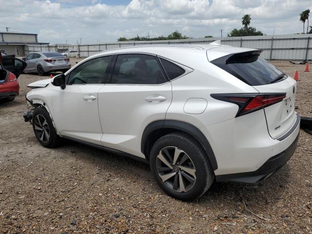 JTJYARBZ7K2123329 - 2019 LEXUS NX 300 BASE Ağ foto 2