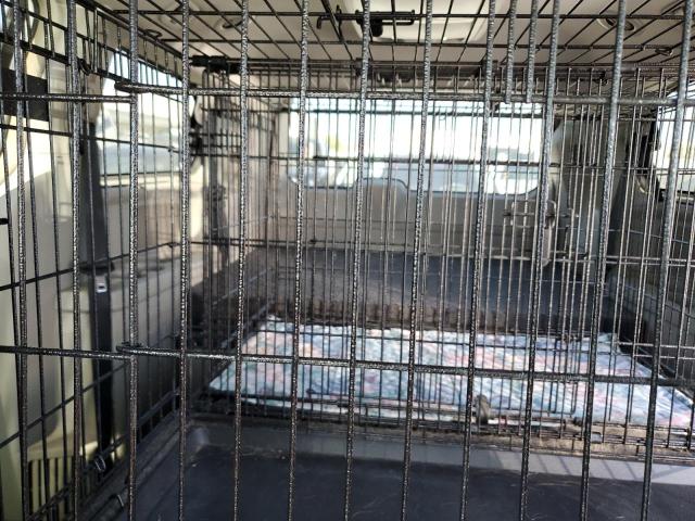 2C4RC1CG0GR149957 - 2016 CHRYSLER TOWN & COU TOURING L WHITE photo 10