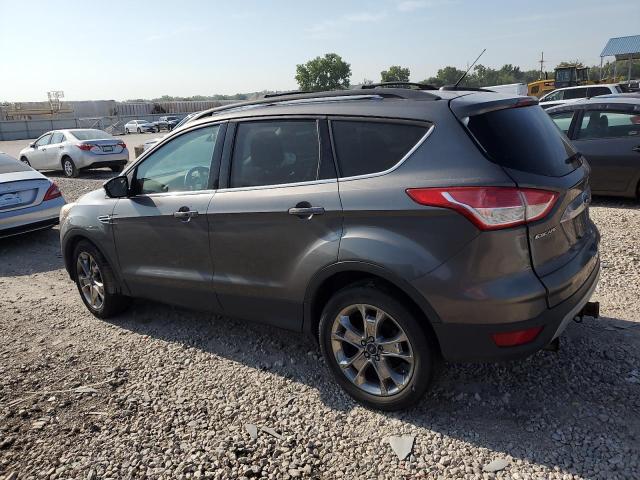 1FMCU0H95DUB93874 - 2013 FORD ESCAPE SEL GRAY photo 2