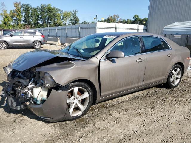 1G1ZC5E1XBF320853 - 2011 CHEVROLET MALIBU 1LT 灰色 照片 1