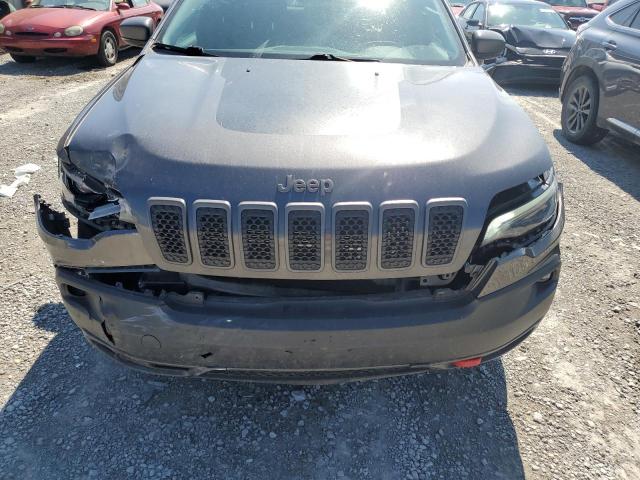 1C4PJMBX8LD527178 - 2020 JEEP CHEROKEE TRAILHAWK Grafit foto 11