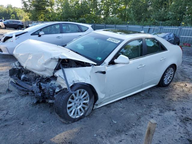 1G6DG5E54D0104353 - 2013 CADILLAC CTS LUXURY COLLECTION WHITE photo 1