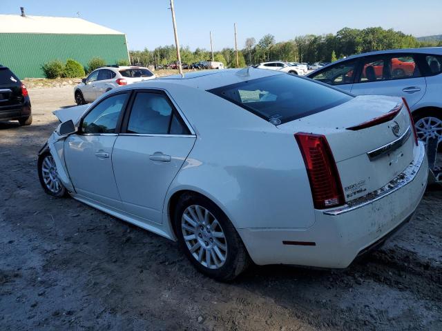 1G6DG5E54D0104353 - 2013 CADILLAC CTS LUXURY COLLECTION WHITE photo 2