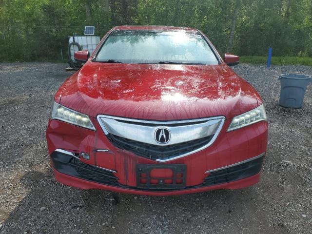 19UUB3F53HA800816 - 2017 ACURA TLX TECH RED photo 5
