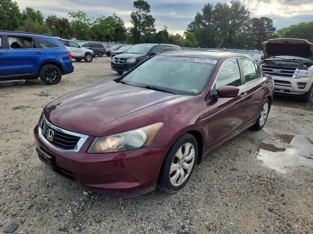 2010 HONDA ACCORD EXL, 