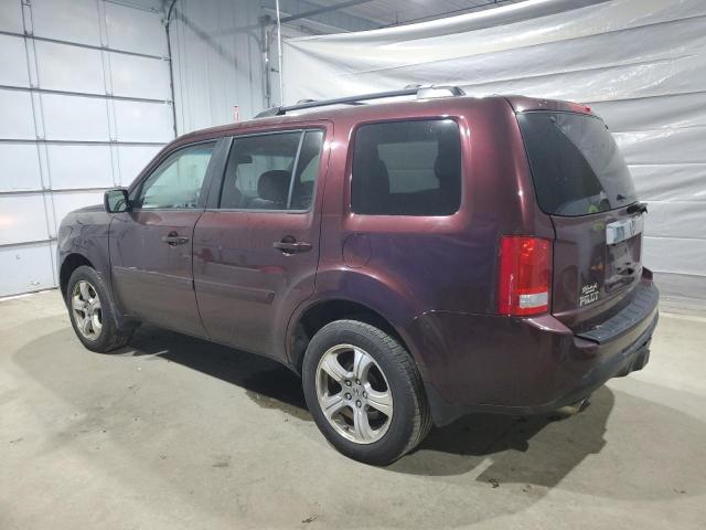 5FNYF4H52CB031216 - 2012 HONDA PILOT EXL Bordo foto 2