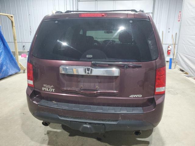 5FNYF4H52CB031216 - 2012 HONDA PILOT EXL Bordo foto 6