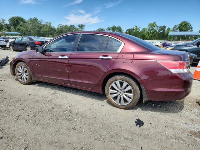 1HGCP3F86CA028389 - 2012 HONDA ACCORD EXL BURGUNDY photo 2