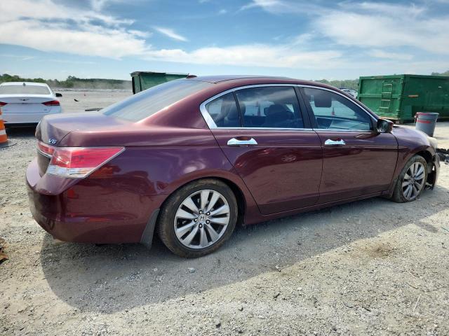 1HGCP3F86CA028389 - 2012 HONDA ACCORD EXL BURGUNDY photo 3