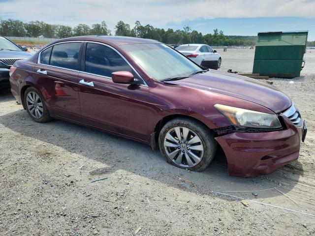1HGCP3F86CA028389 - 2012 HONDA ACCORD EXL BURGUNDY photo 4