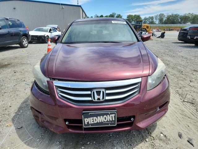 1HGCP3F86CA028389 - 2012 HONDA ACCORD EXL BURGUNDY photo 5