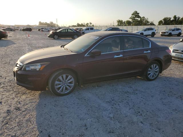 1HGCP3F89BA017224 - 2011 HONDA ACCORD EXL BURGUNDY photo 1