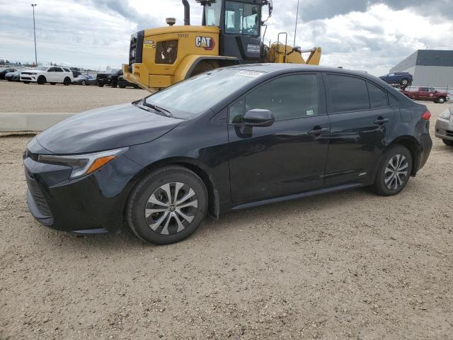 2024 TOYOTA COROLLA LE, 