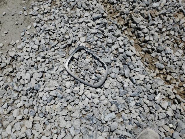 WMW53DH08R2U58909 - 2024 MINI COOPER S BLUE photo 13