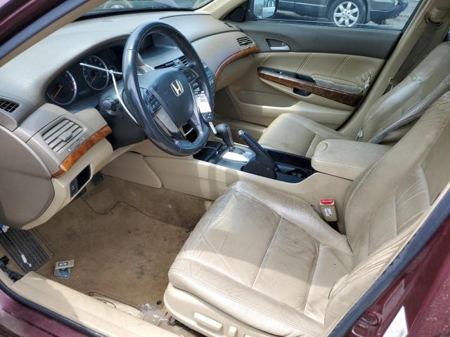 JHMCP26858C065971 - 2008 HONDA ACCORD EXL BURGUNDY photo 7