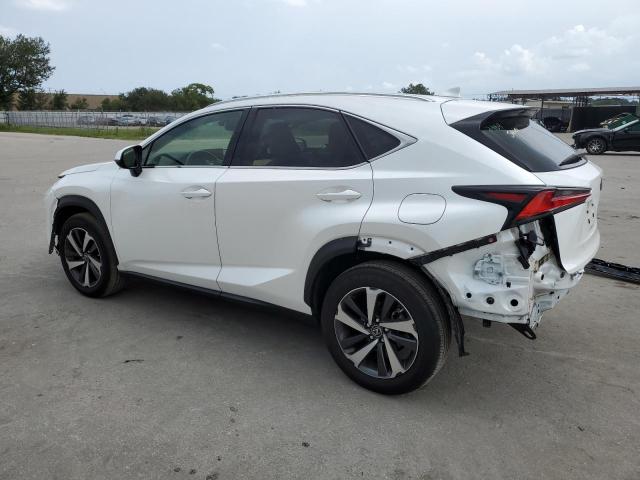 JTJGARBZ6M2179292 - 2021 LEXUS NX 300 BASE Ağ foto 2