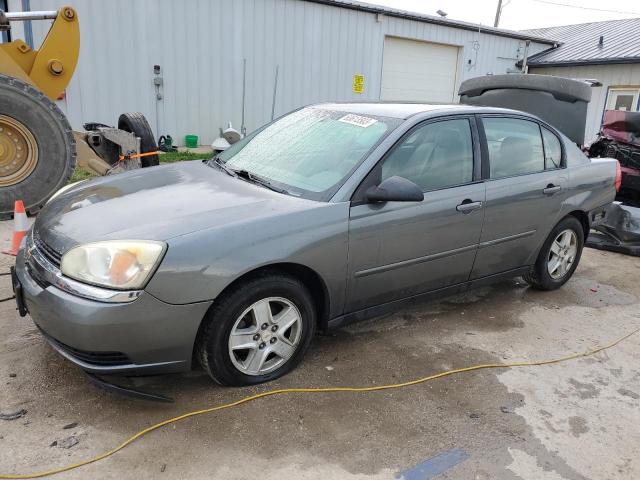 1G1ZT52835F236475 - 2005 CHEVROLET MALIBU SS LS GRAY photo 1