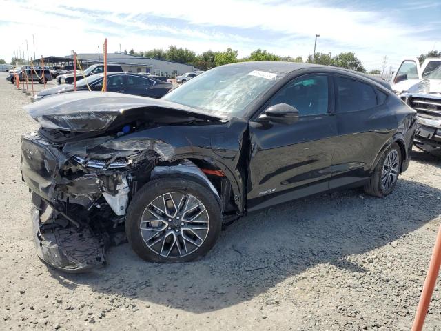 2025 FORD MUSTANG MA PREMIUM, null