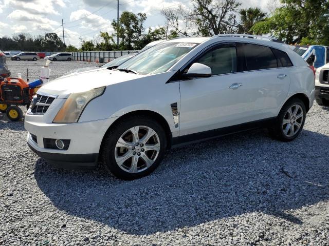 3GYFNBEY6AS558994 - 2010 CADILLAC SRX PERFORMANCE COLLECTION Biały zdjęcie 1