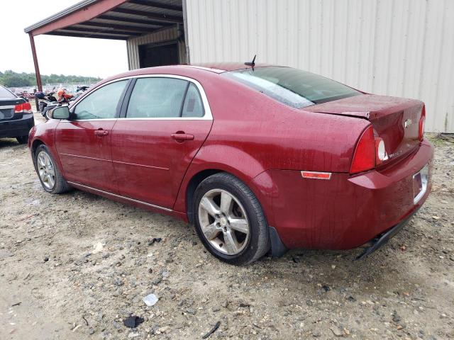 1G1ZC5E13BF283449 - 2011 CHEVROLET MALIBU 1LT 红色 照片 2