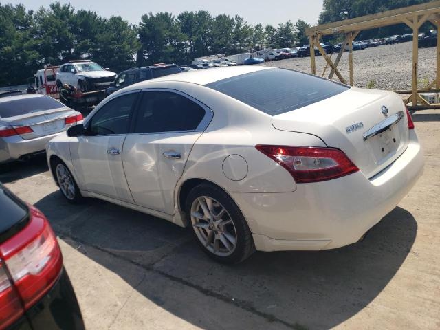 1N4AA51E09C858711 - 2009 NISSAN MAXIMA S WHITE photo 2