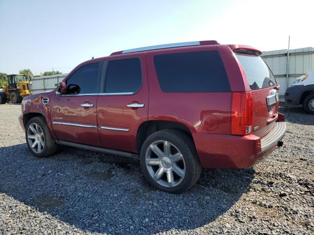 1GYUKCEF7AR235125 - 2010 CADILLAC ESCALADE PREMIUM MAROON photo 2