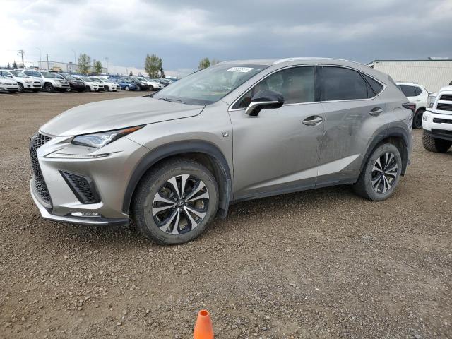 JTJBARBZ0J2163952 - 2018 LEXUS NX 300 BASE Boz foto 1