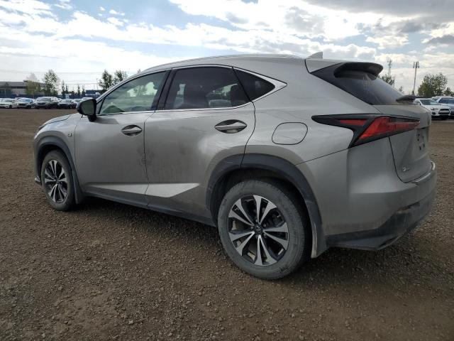 JTJBARBZ0J2163952 - 2018 LEXUS NX 300 BASE Boz foto 2