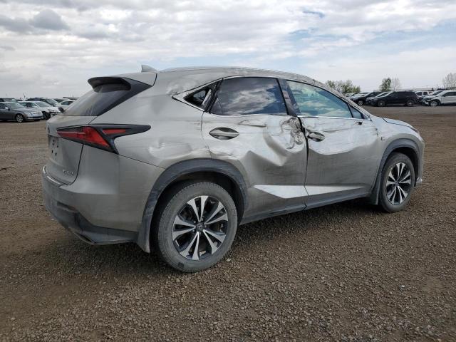 JTJBARBZ0J2163952 - 2018 LEXUS NX 300 BASE Boz foto 3