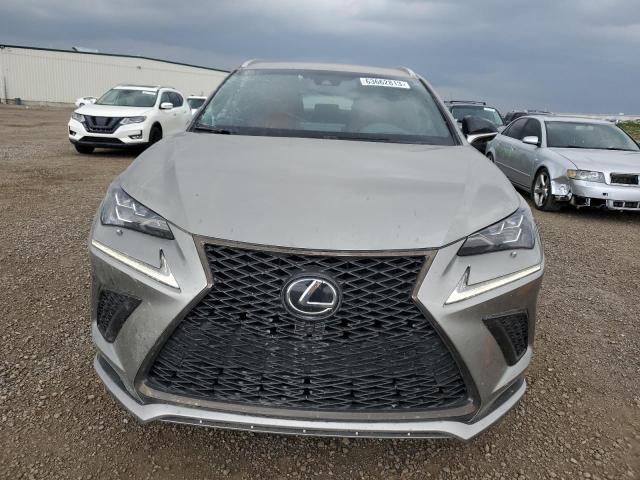 JTJBARBZ0J2163952 - 2018 LEXUS NX 300 BASE Boz foto 5