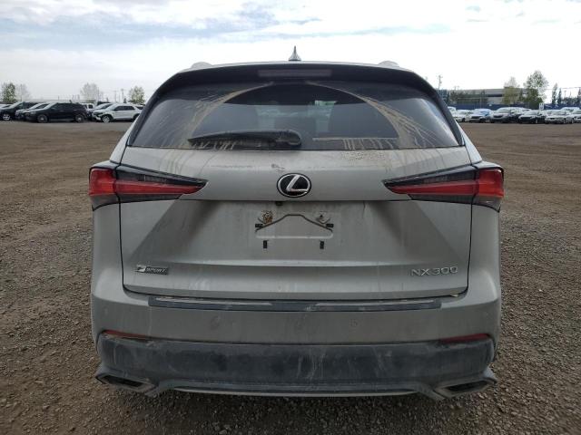 JTJBARBZ0J2163952 - 2018 LEXUS NX 300 BASE Boz foto 6