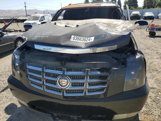 3GYFK62867G297981 - 2007 CADILLAC ESCALADE EXT BLACK photo 12