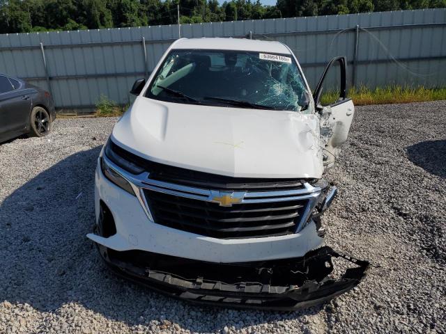 3GNAXHEG3PL251362 - 2023 CHEVROLET EQUINOX LS 白色 照片 5